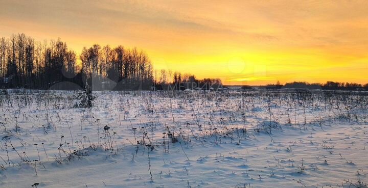 Участок 12,9 сот. (СНТ, ДНП)