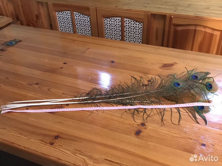 Перо павлина и страуса