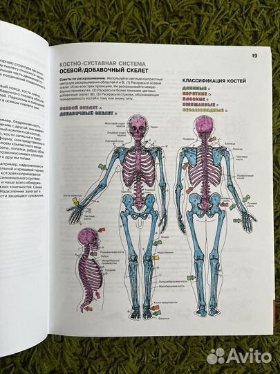 Атлас-раскраска 