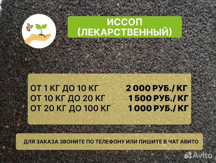 Семена иссопа