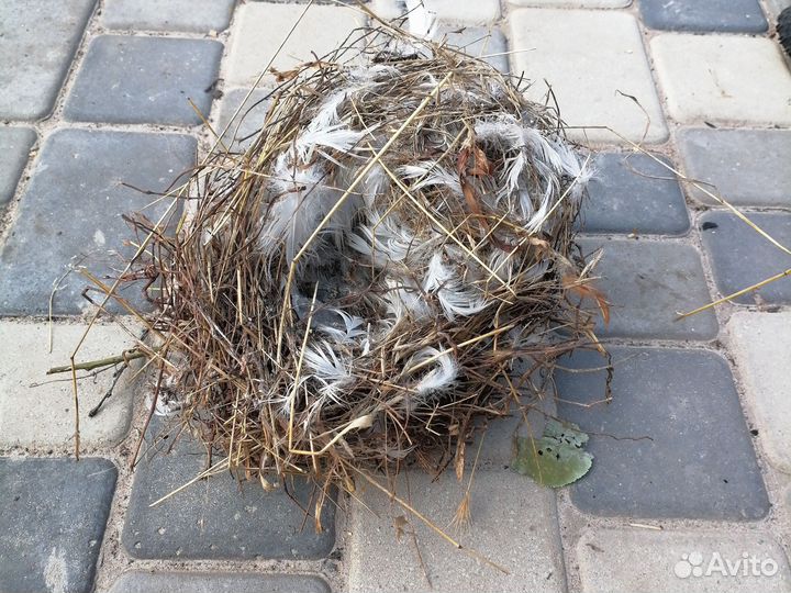 Аксессуар для интерьера