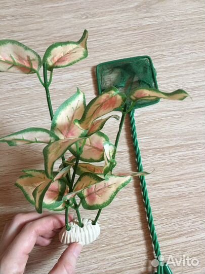 Сачок и растение для аквариума