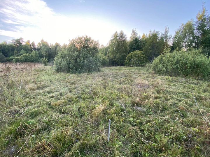 Участок 15 сот. (СНТ, ДНП)