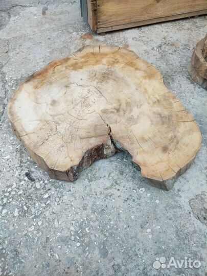 Спилы дерева