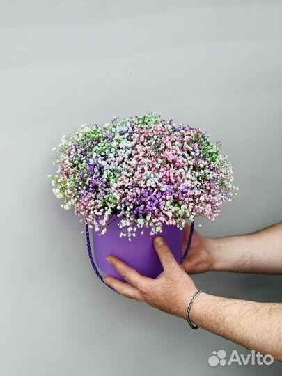 Гипсофила с доставкой