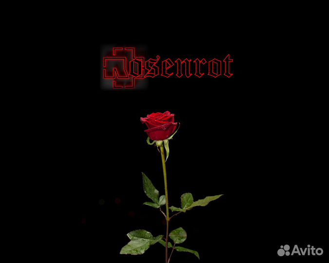 Rosenrot Туалетная вода Rammstein