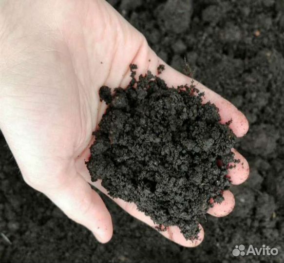 Доставка земля песок щебень отсев дрова уголь