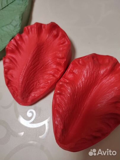 Вайнер тюльпан,ирис,гибискус