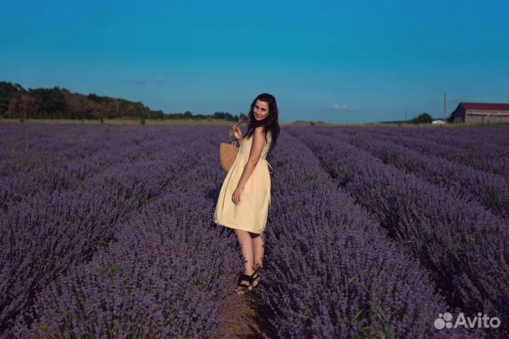 Доверительное управление недвижимостью