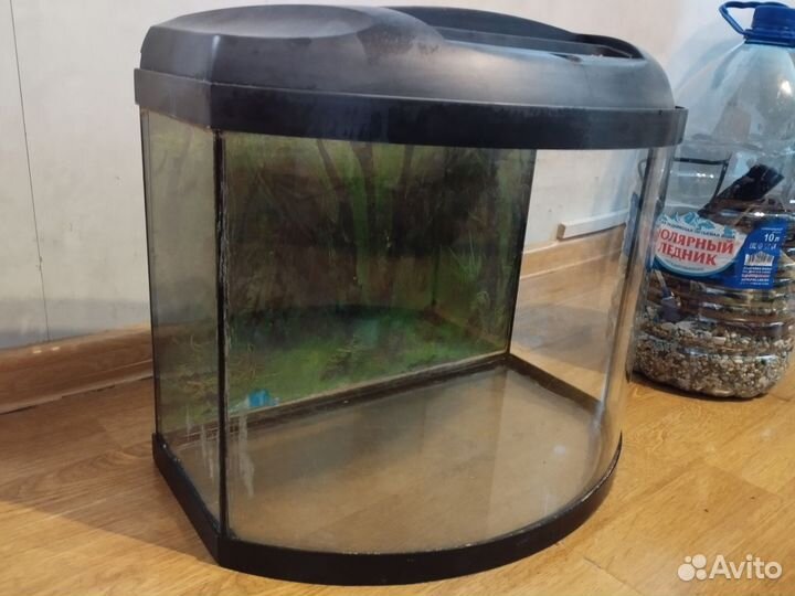Аквариум