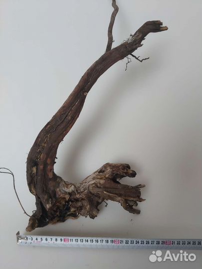 Коряги корни для аквариума / террариума