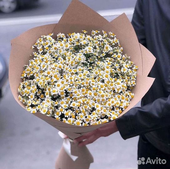 Букеты ромашек