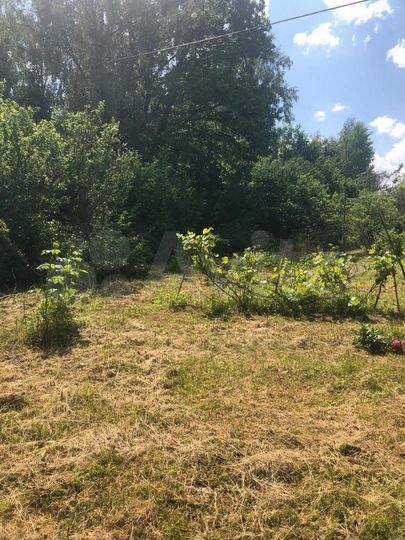 Участок 5,5 сот. (СНТ, ДНП)