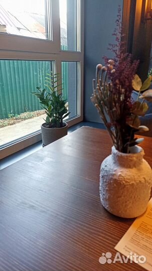 Озеленение кафе, ресторанов офисов