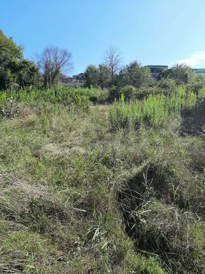 Участок 6 сот. (ИЖС)