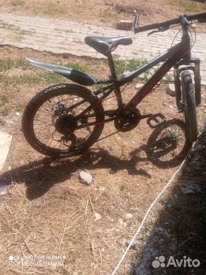 Велосипед berkut