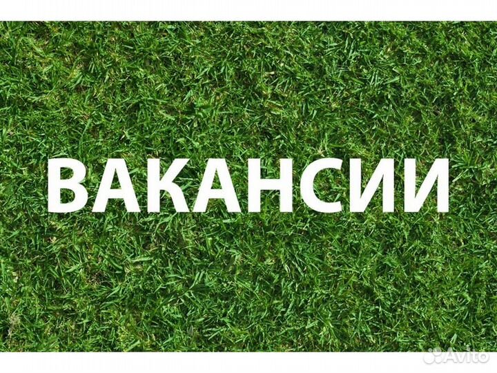 Вахта Разнорабочий Проживание /питание Аванс ежене