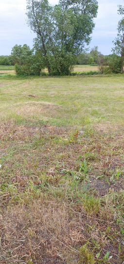 Участок 7 сот. (ИЖС)