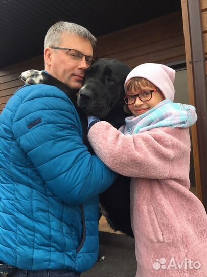 Представитель в перми