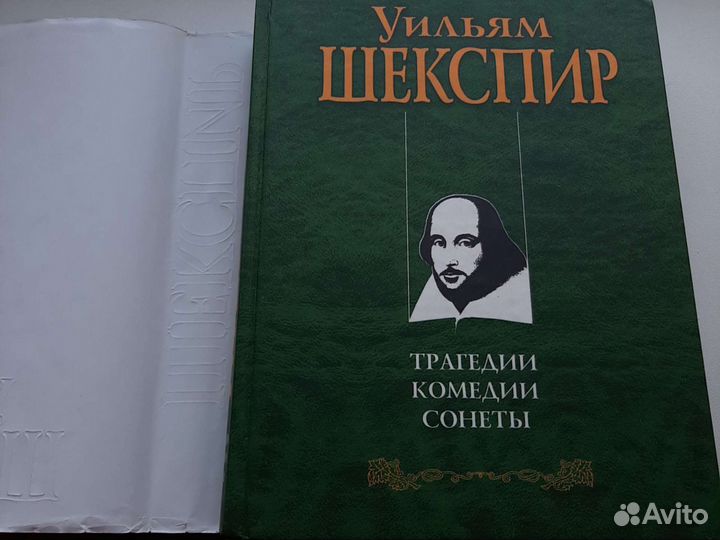 Зарубежная классика, русская классика