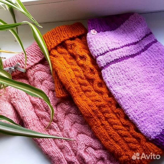 Одежда для животных