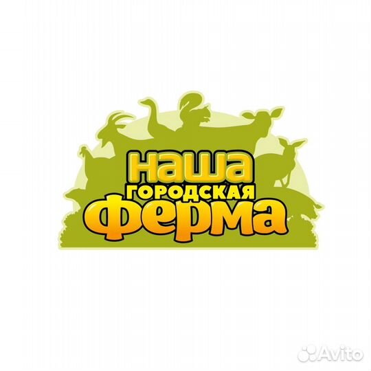 Сотрудник мини-зоопарка