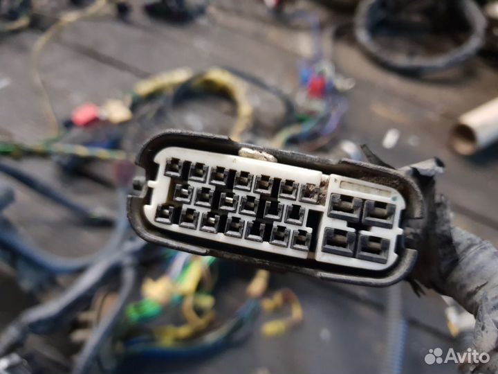 Коса жгут фары lexus gs 3 300 gs300 gs400 gs430