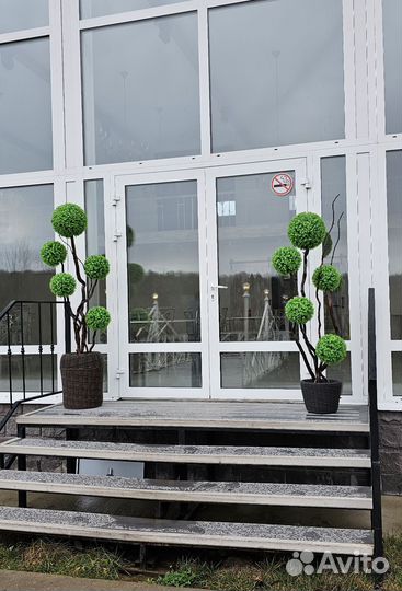 Искусственный самшит