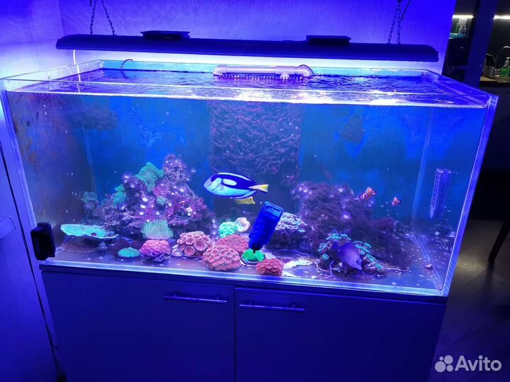 Морской аквариум 360 литров