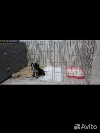 Вольер для щенков
