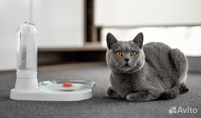Поилка для кошек