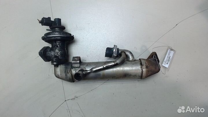 Охладитель отработанных газов Ford Transit, 2001