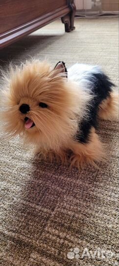 Фирменные игрушки