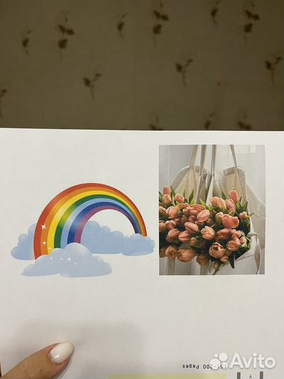 Принтер canon pixma mg2540s