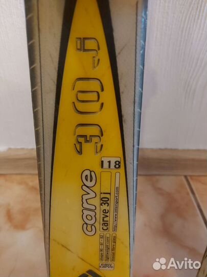 Горные лыжи