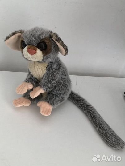 Лемур Сенегальский Галаго (буш беби) Semo, 20 см