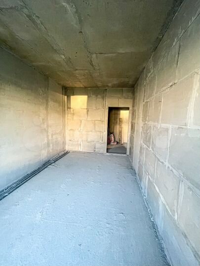 1-к. квартира, 51,6 м², 2/3 эт.