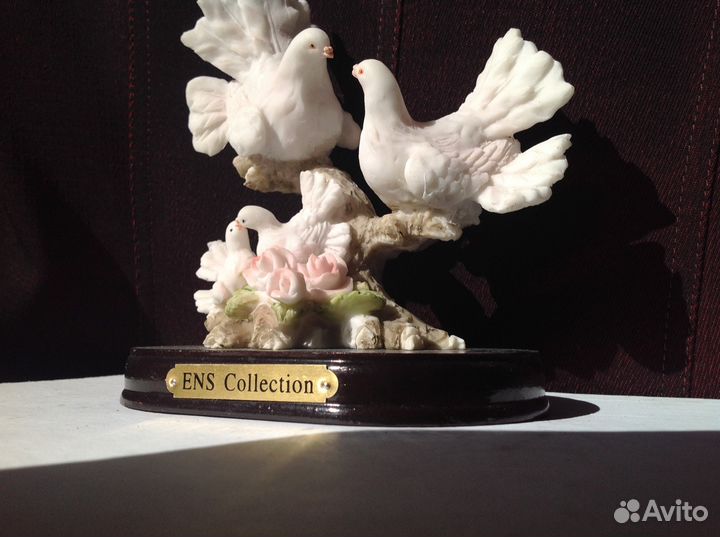 Голуби- счастливая семейка