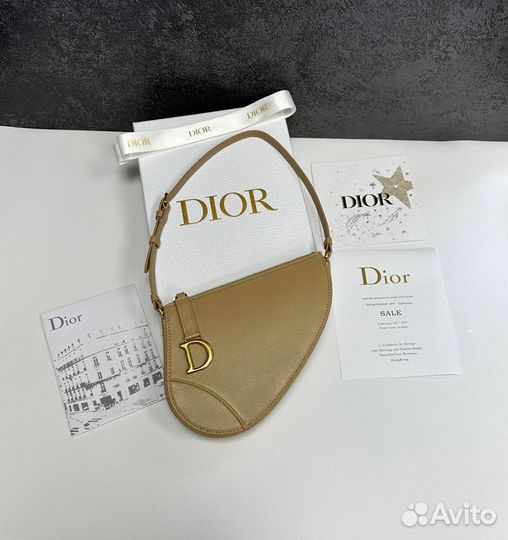 Сумка Dior Saddle Rodeo