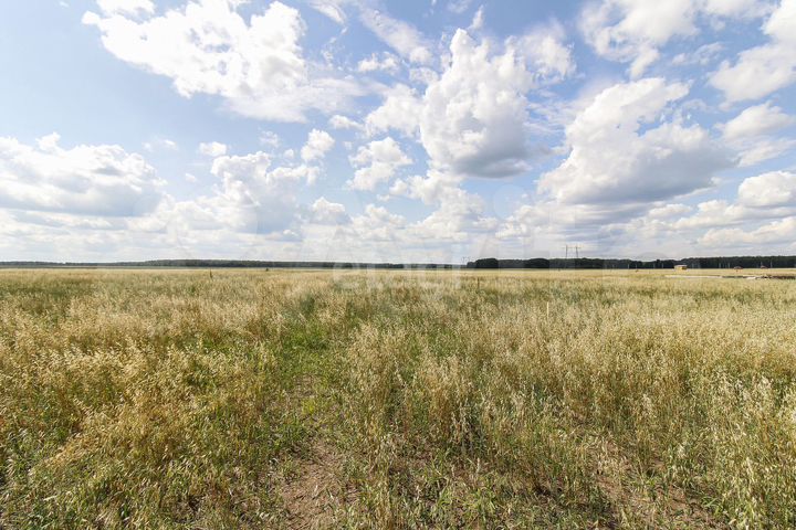 Участок 8,3 сот. (СНТ, ДНП)