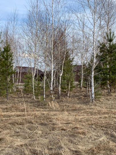 Участок 12 сот. (ИЖС)