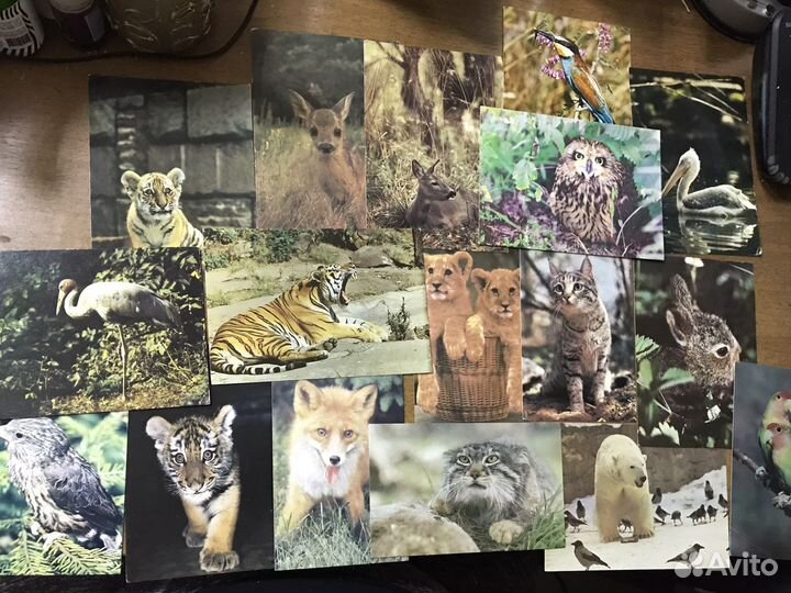 Открытки СССР двойные и мини