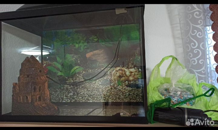 Аквариум