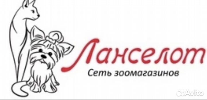 Продавец консультант