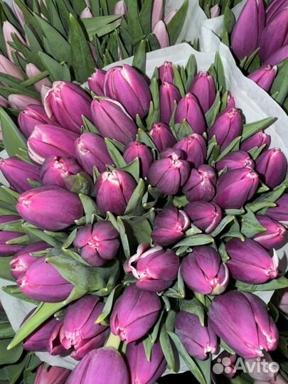 Тюльпаны на 8 марта букет