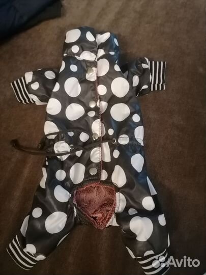 Одежда для маленьких пород собак