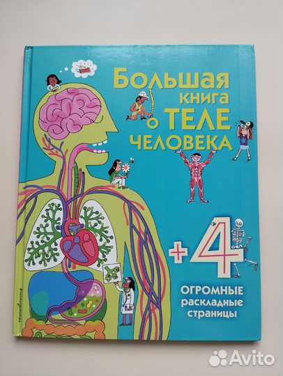 Большая книга о теле человека