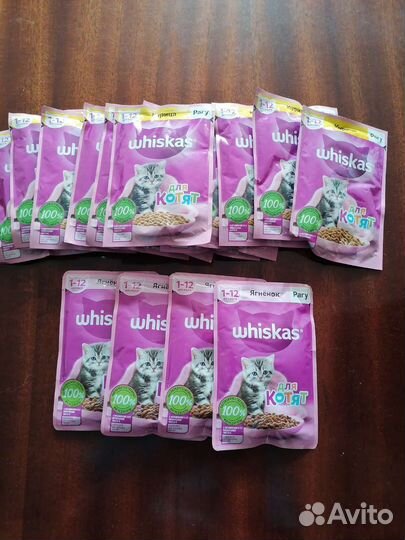 Влажный корм для котят