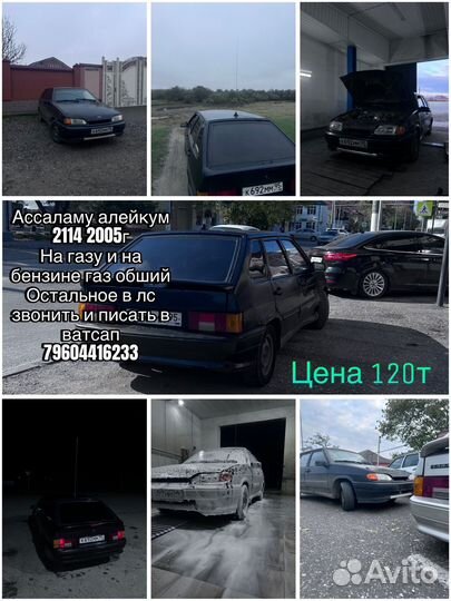 Всё по ватсапу