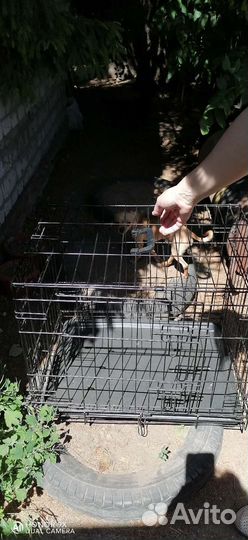 Клетка для животных, новая
